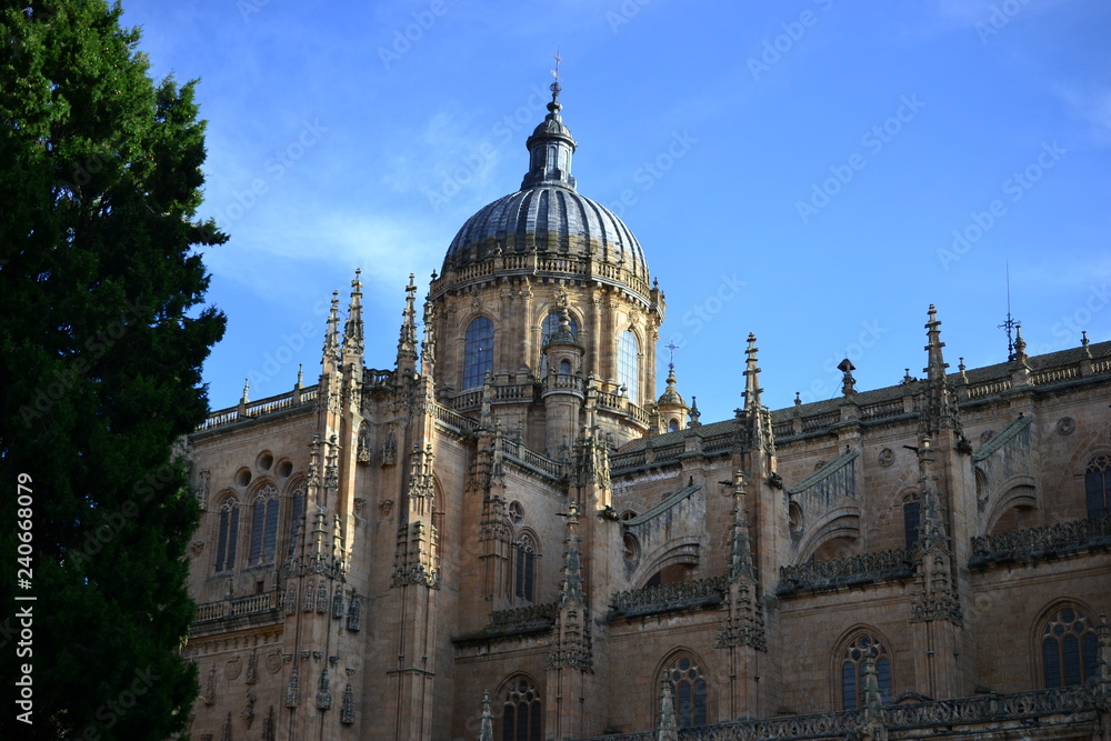 Beautiful old city of Salamanca, Spain, Cathedral and Plaza Mayor and Universidad University, Spanish architecture