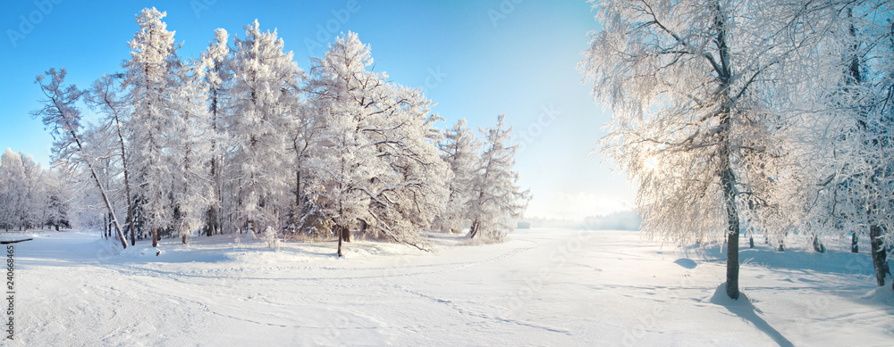 Obraz premium Winter park. Panorama