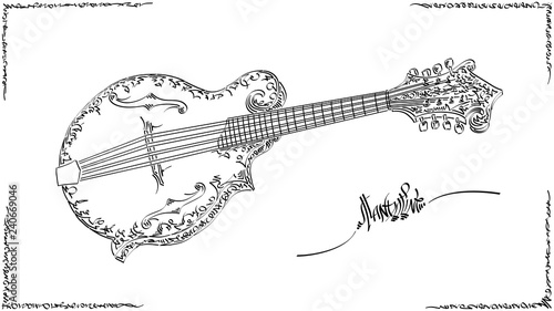 Vector illustration drawing of mandoline.