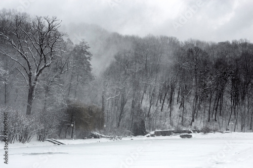 Snowstorm in the forest, a strong wind drives a pillar of snow on the mountainside