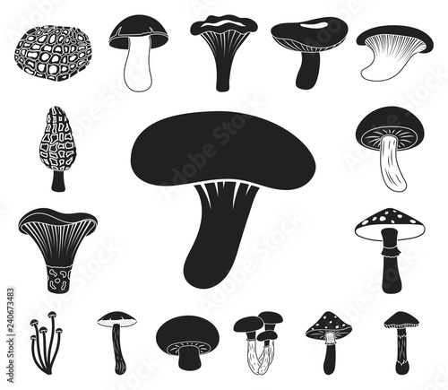 Poisonous and edible mushroom black icons in set collection for design. Different types of mushrooms vector symbol stock web illustration.