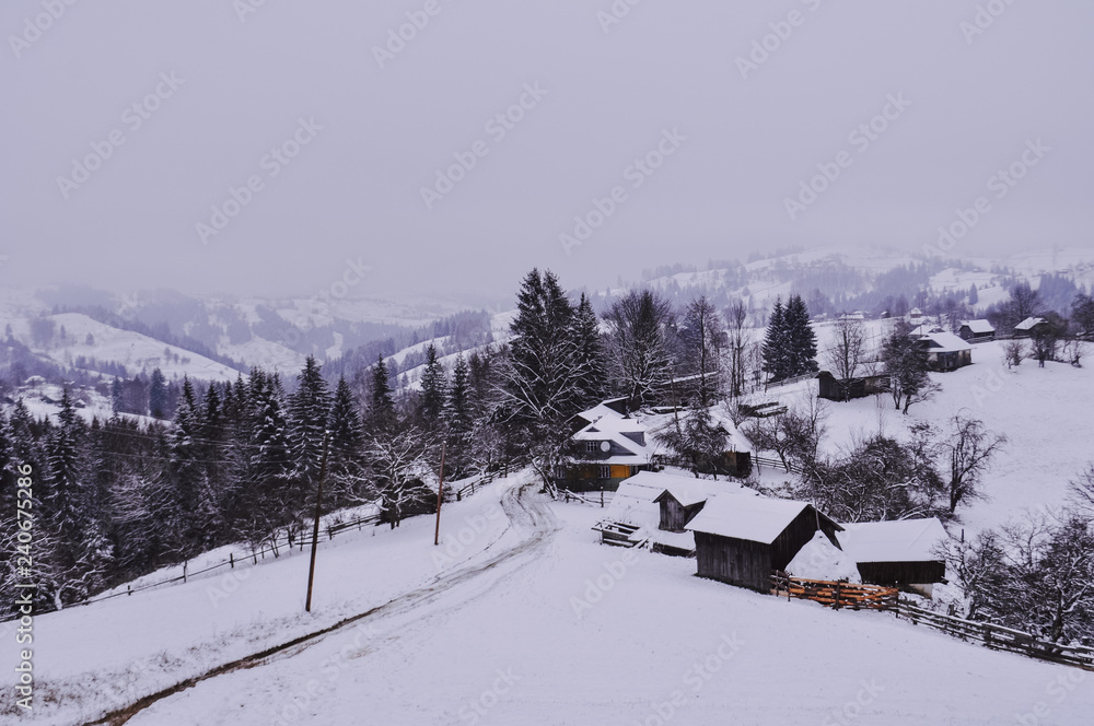 Carpathian winter landscape