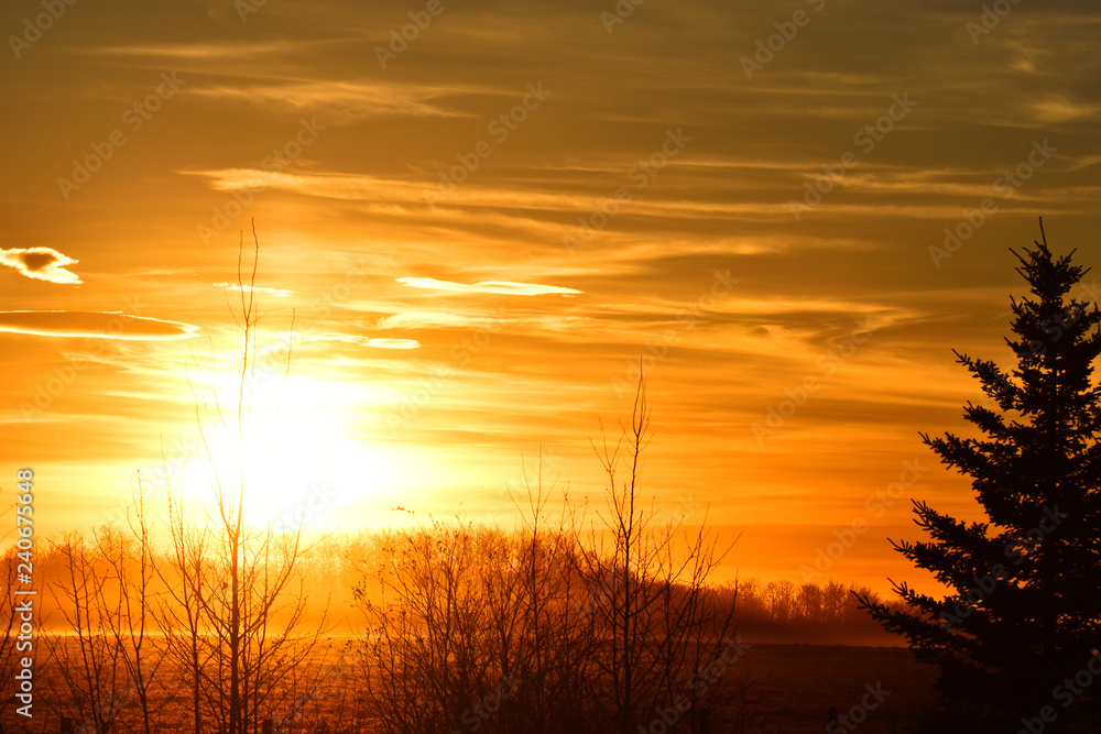 Obraz premium Sunset Over Meadow