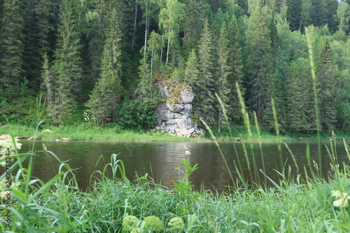 Alone among forest