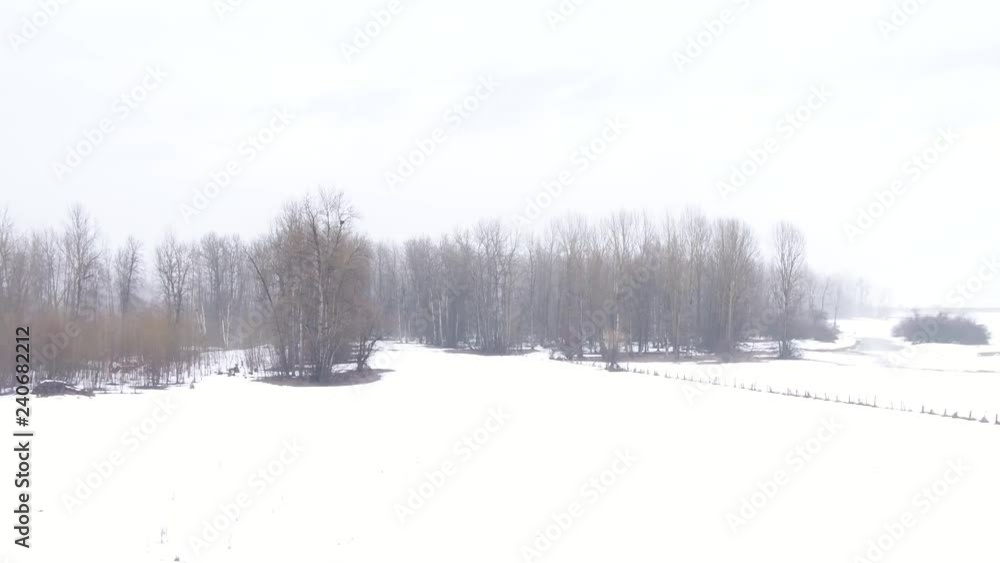 Slow arial shot of winter trees in fog, revealing beautiful canadian mountain in the distance Slow arial shot of winter trees in fog, revealing beautiful canadian mountain in the distance