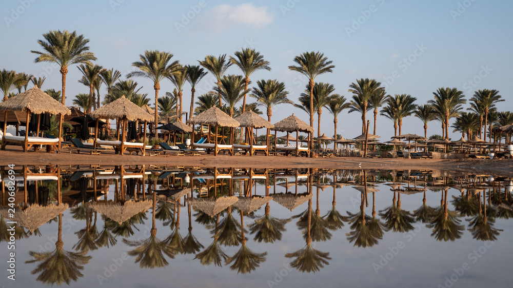 Palms, Red Sea, Hurghada