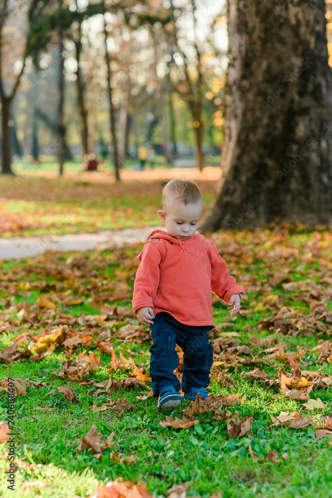 Happy toddler baby looking at leaves in autumn park Happy toddler baby looking at leaves in autumn park