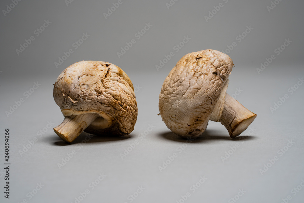 Fotografie Two old wrinkled mushrooms on a grey backdrop