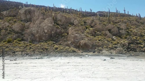 Incahuasi Island also known as Cactus Island on Salar de Uyuni, the World's Largest Salt Marsh. Altiplano, Bolivia