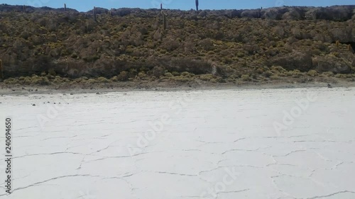 Incahuasi Island also known as Cactus Island on Salar de Uyuni, the World's Largest Salt Marsh. Altiplano, Bolivia
