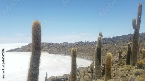 The Uyuni Salar Incahuasi cactus island in Bolivia. Bright sunny day on a natural wonder. blue sky
