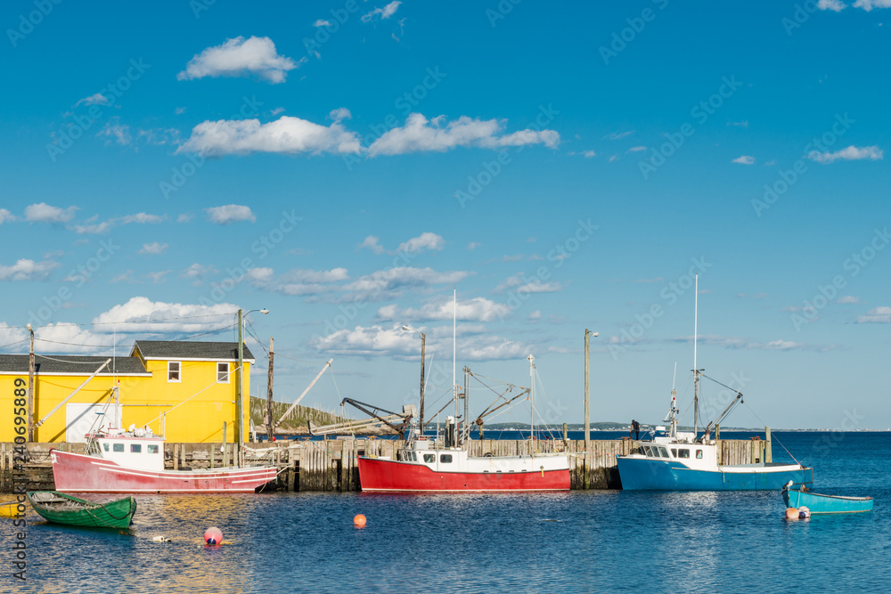 Fishing boats in the harbor