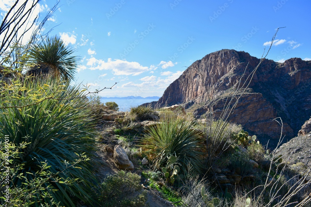 Finger Rock Trail Tucson Arizona Catalina Mountains