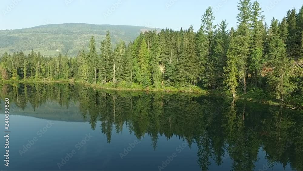 slow tracking aerial shot of heavily forested treeline on lake front slow tracking aerial shot of heavily forested treeline on lake front