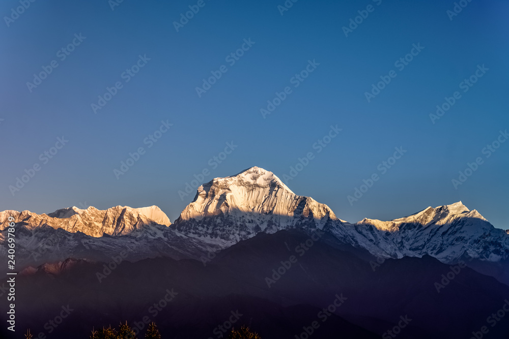 Snow Peak of Dhaulagiri Mountain at Sunset in the Himalayas in Nepal