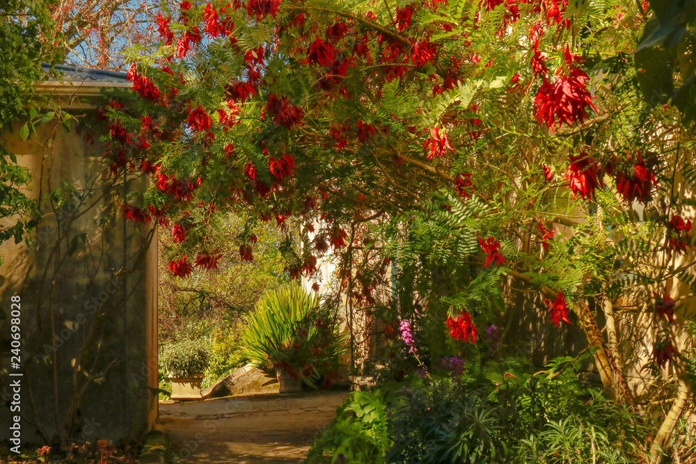 Naklejka premium Larnach Castle Gardens