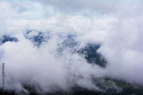 Fototapeta Naklejka Na Ścianę i Meble -  Heaven over the mountains, Munnar India