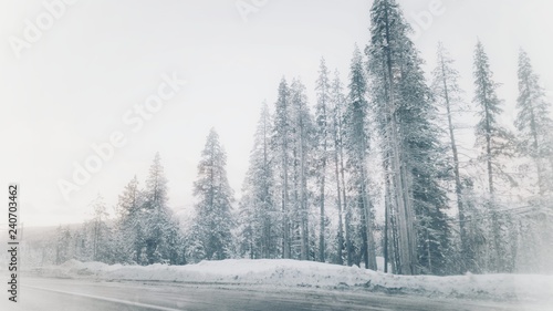 Majestic winter landscape during Winter Boreal California