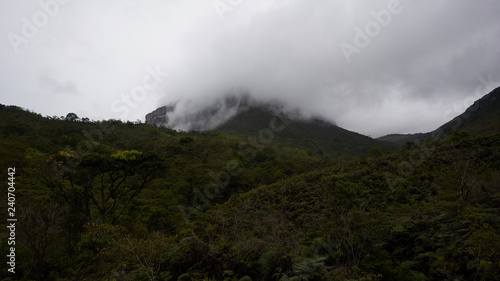 A mountain covered in fog