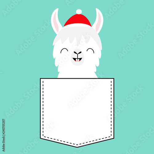 Llama alpaca sitting in the pocket. Santa Claus hat. Face with tooth. Cute cartoon character. Hello winter. Merry Christmas. Happy New Year. Blue background. Flat design.