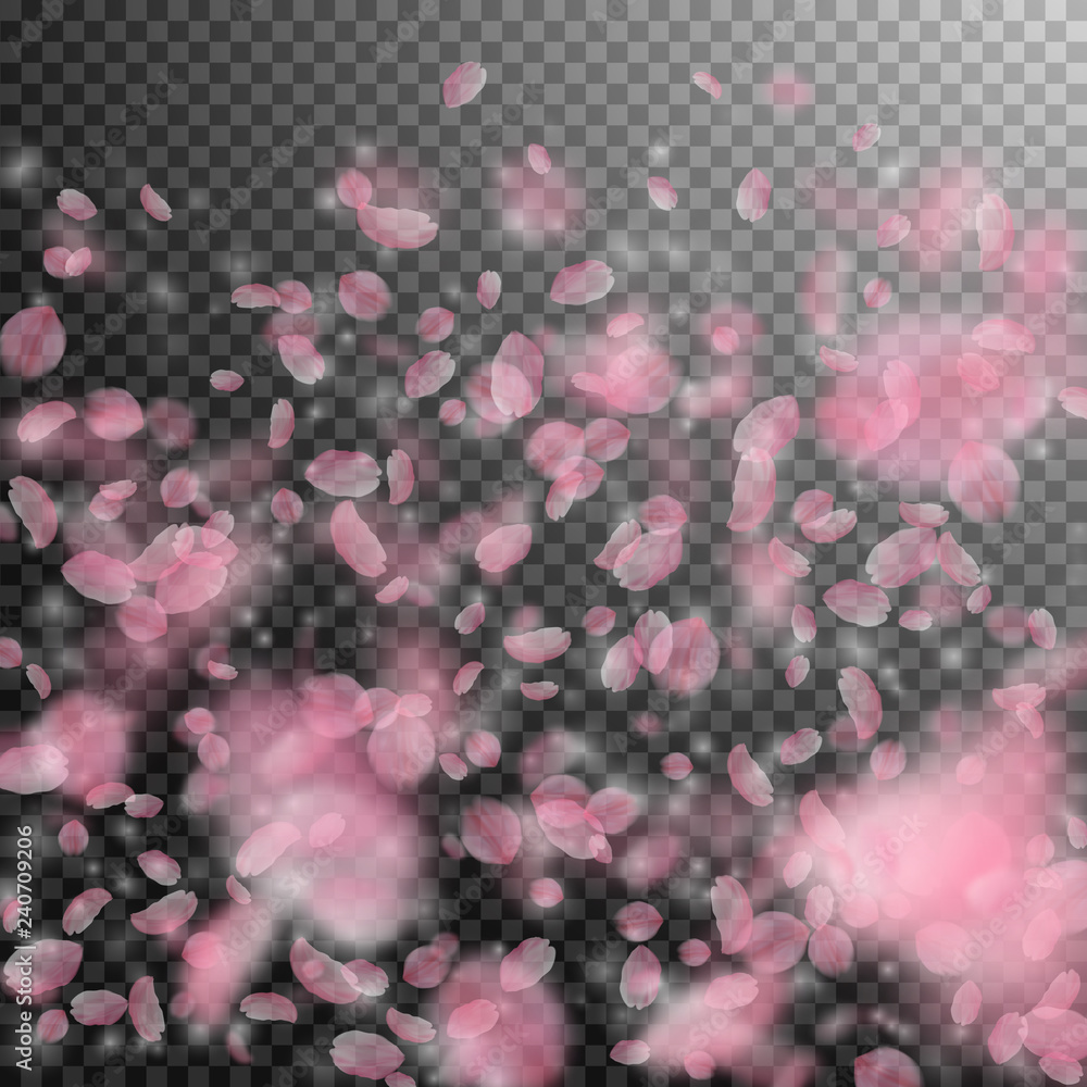 Sakura petals falling down. Romantic pink flowers Sakura petals falling down. Romantic pink flowers