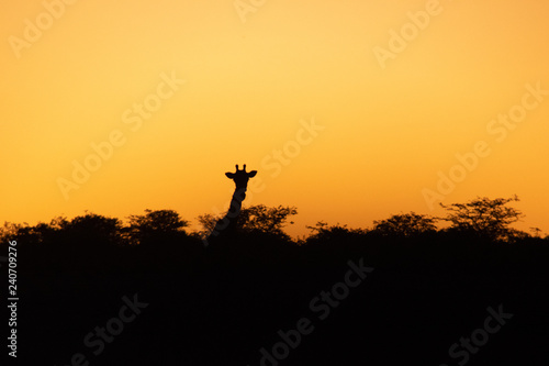 2018-10 Namibia