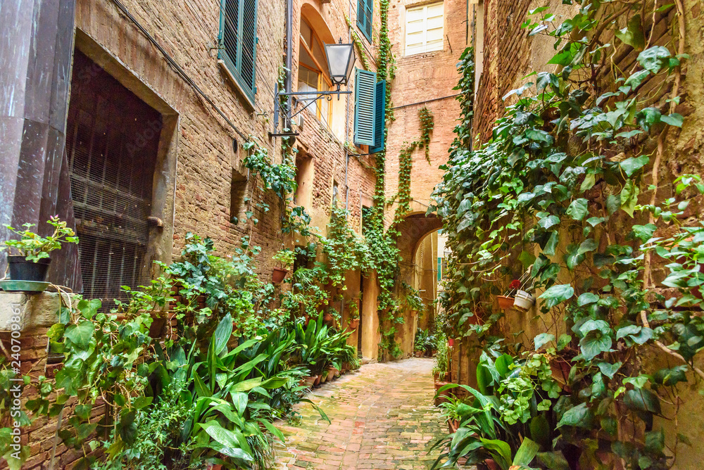 Medieval narrow street Vicolo degli Orefici in Siena, Tuscany, Italy.