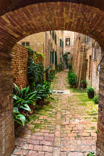 Medieval narrow street Vicolo degli Orefici in Siena  Tuscany  Italy.