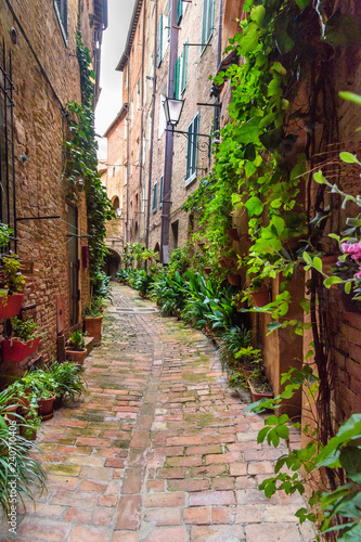 Medieval narrow street Vicolo degli Orefici in Siena, Tuscany, Italy.