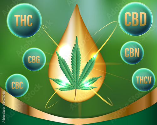 Chemical of natural Marijuana,cannabinoids in cannabis.Vector illustration