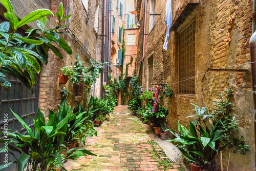 Medieval narrow street Vicolo degli Orefici in Siena  Tuscany  Italy.