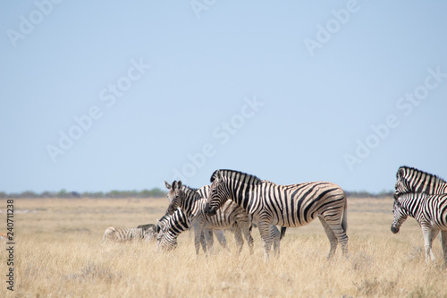 2018-10 Namibia