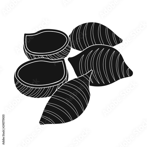 Vector design of pasta and carbohydrate symbol. Set of pasta and macaroni stock symbol for web.