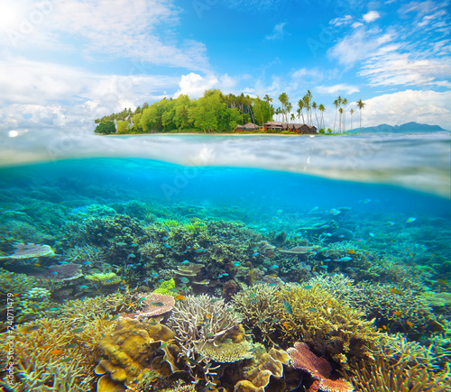 Coral reef with colorful fishes on background of small island in Malaysia.