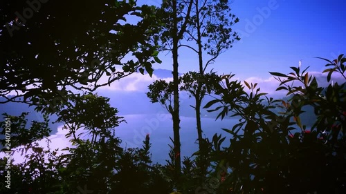 Early Morning Sunshine In Lake Buyan With Swaying Plant Leaves From Wanagiri Village, North Bali, Indonesia photo