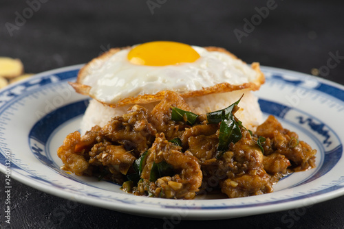 Kam Heong stir fry Chicken rice , malaysian dish