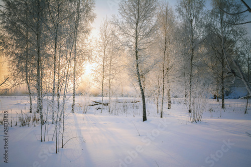 Russian winter.