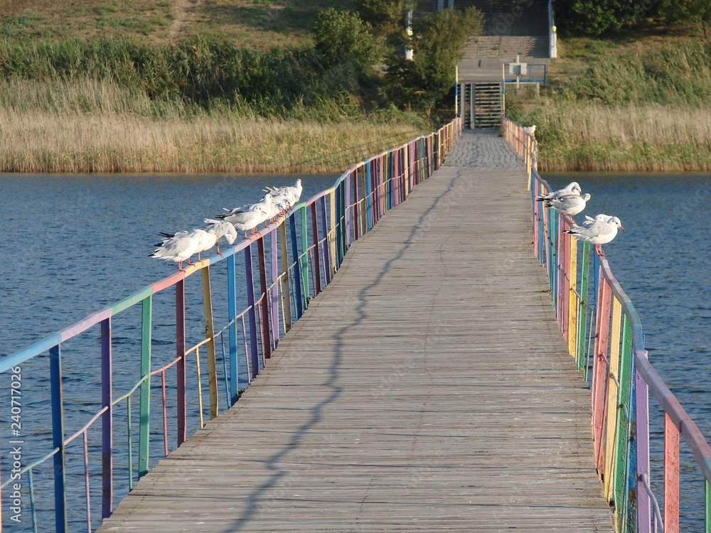 If there are no people on the pedestrian bridge, then you can rest seagulls under the rays of the morning sun.