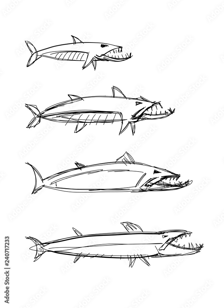 Naklejka Barracuda fish for your design