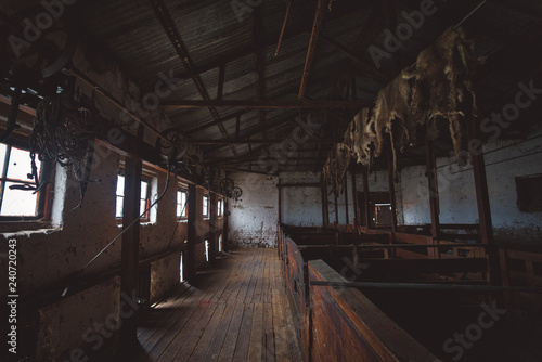 Inside a wooden barn on a sheep farm
