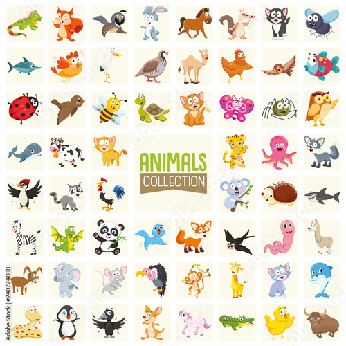 Vector Illustration Of Cartoon Animals Collection © yusufdemirci