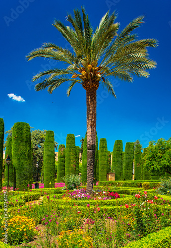 Gardens at the Alcazar in C...