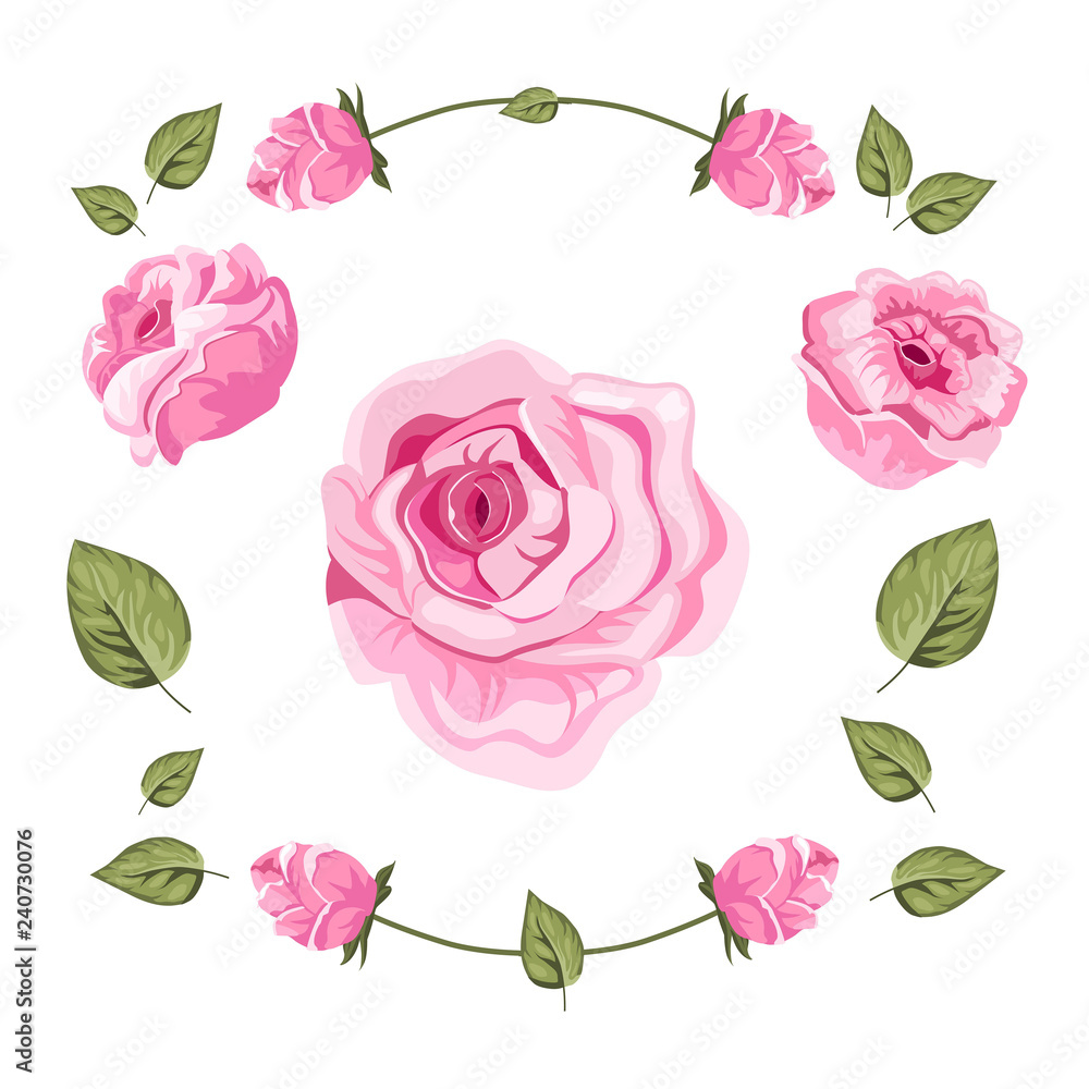  Set of rose buds and petals. Pink vector illustration.