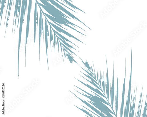 Tropical Elegant Foliage background blue pastel palm leaf vector made decoration