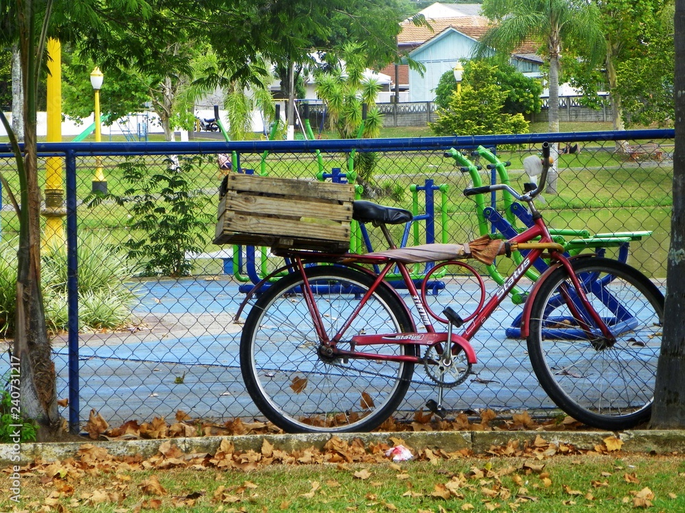 Bike in Park