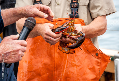 Maine Lobster Boat demo, how-to catch and band lobster from trap, handheld lobster