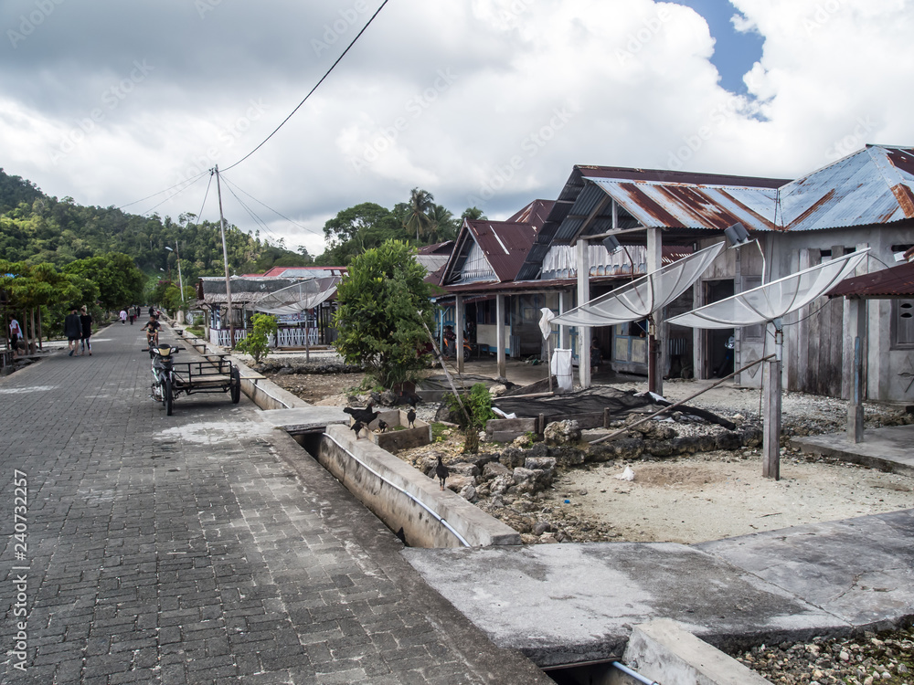 Small indonesian village