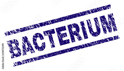 BACTERIUM seal print with distress style. Blue vector rubber print of BACTERIUM tag with retro texture. Text label is placed between parallel lines.