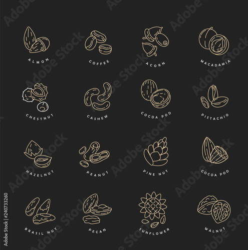 Vector icon and logo for nuts and seeds. Editable outline stroke size. Line flat contour, thin and linear design. Simple icons. Concept illustration. Sign, symbol, element.