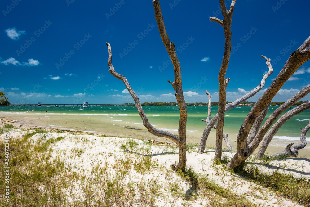 Tropical beach with trees on the east side of Bribie Island, Queensland, Australia Tropical beach with trees on the east side of Bribie Island, Queensland, Australia